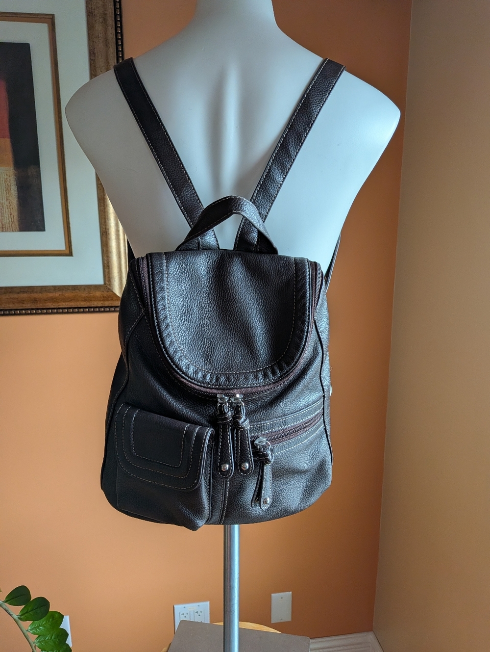Tignanello Brown Leather Backpack - Everyday Casual Pack